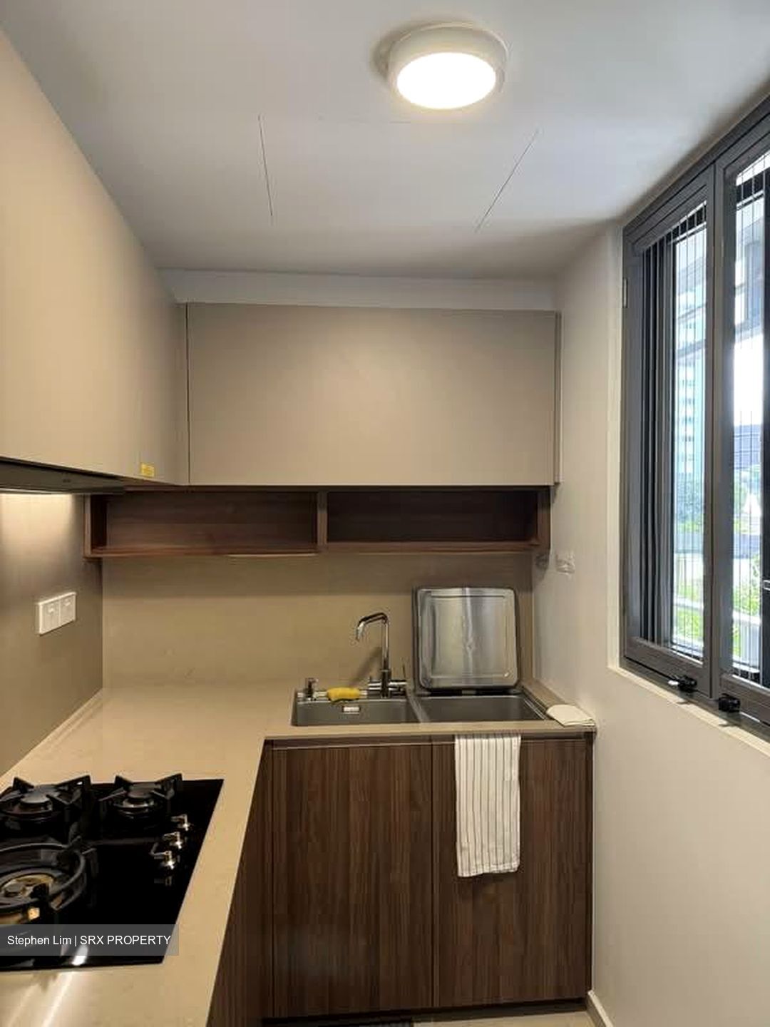 JadeScape (D20), Condominium #559038401